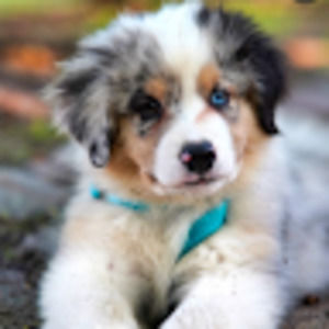 Meet your Posher, Kelsie